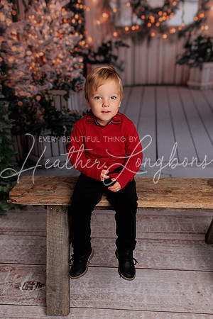 Christmas 2024 Taylors-6