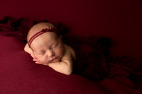 Collins Ward Newborn-12