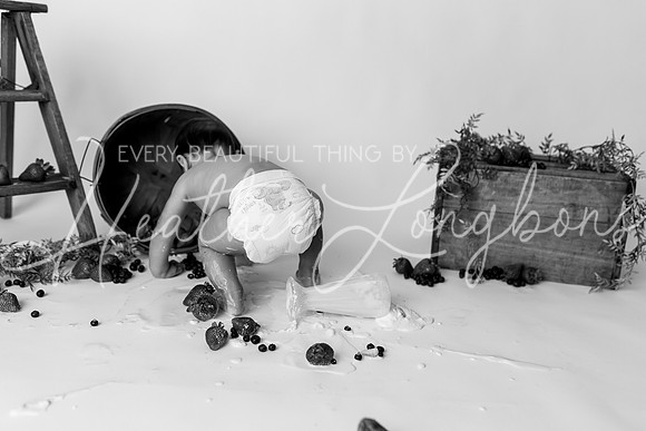 Evan Shake Smash-70BW