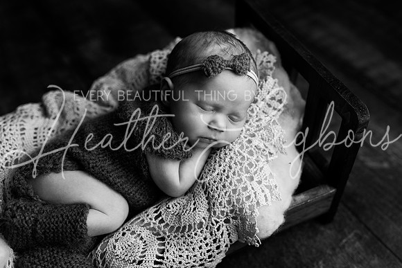 Flossie newborn-13BW