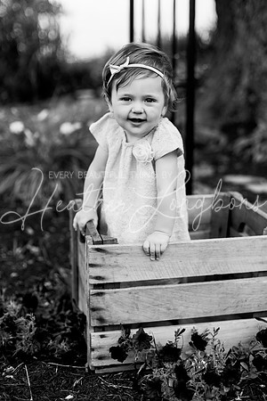 Paisley One Year-2BW