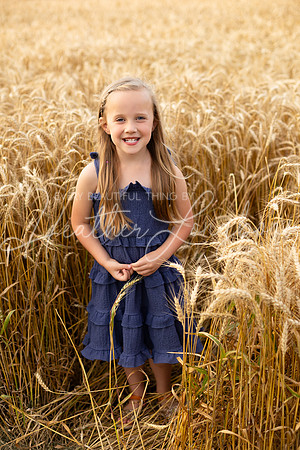 Wheat Field Bonds-25