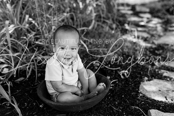 Evan Shake Smash-8BW