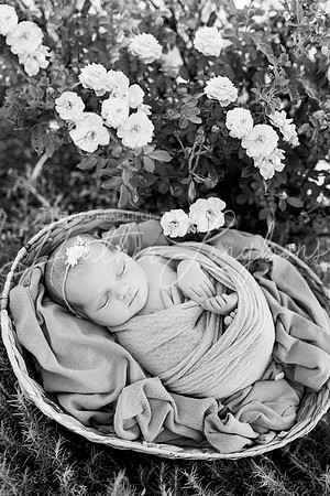 Rosemary Newborn-11BW