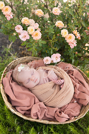 Rosemary Newborn-11