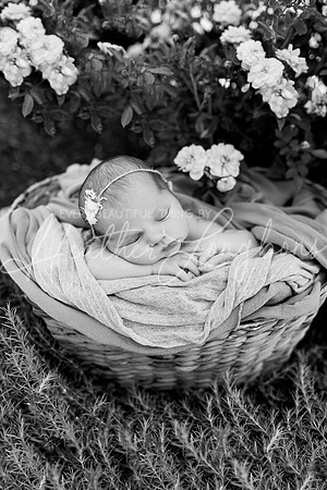 Rosemary Newborn-9BW