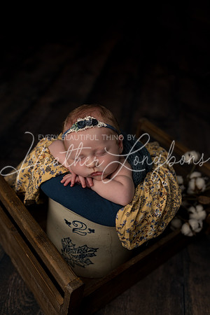 Colbie newborn-25