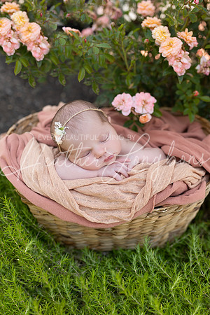 Rosemary Newborn-9