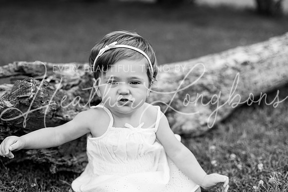 Paisley One Year-5BW