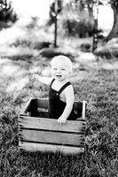 Maddux One Year-8BW