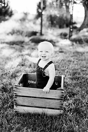 Maddux One Year-8BW