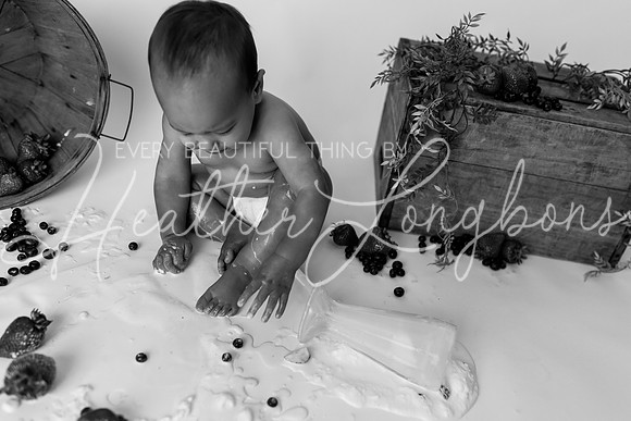 Evan Shake Smash-73BW