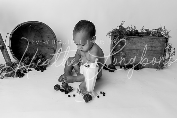 Evan Shake Smash-42BW