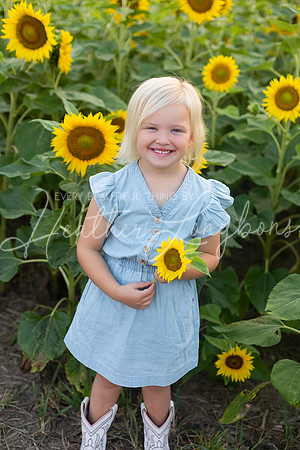 Webb Family-49