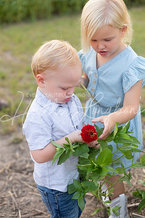 Webb Family-58