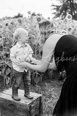 Webb Family-41BW
