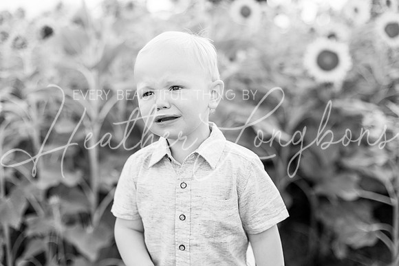 Webb Family-42BW