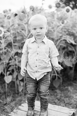 Webb Family-43BW