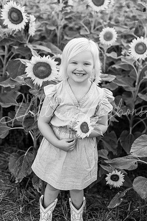 Webb Family-49BW