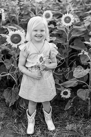 Webb Family-50BW