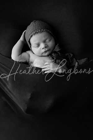 Hutch-25BW
