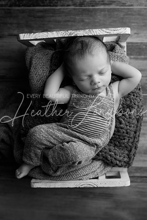 Hutch-31BW