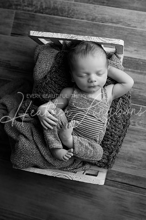 Hutch-34BW