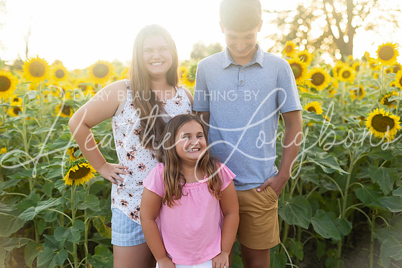 Sunflowers Harrison Family-5