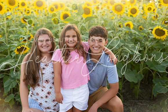 Sunflowers Harrison Family-8