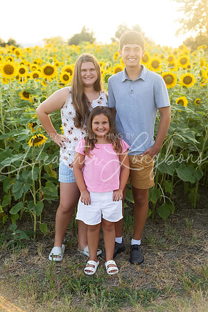 Sunflowers Harrison Family-3
