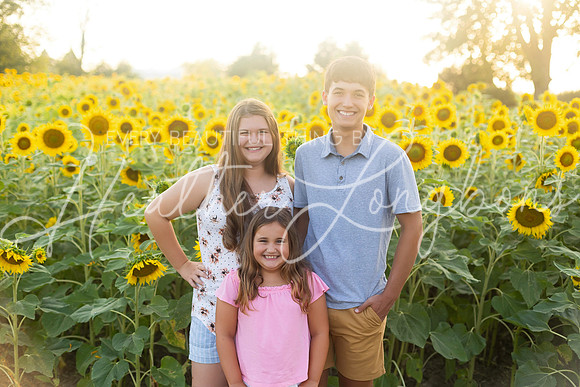 Sunflowers Harrison Family-4