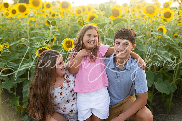 Sunflowers Harrison Family-12