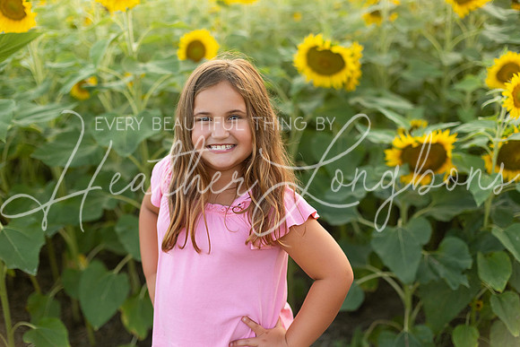 Sunflowers Harrison Family-14