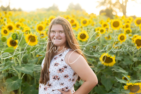 Sunflowers Harrison Family-19