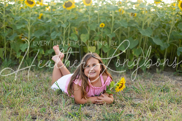 Sunflowers Harrison Family-23