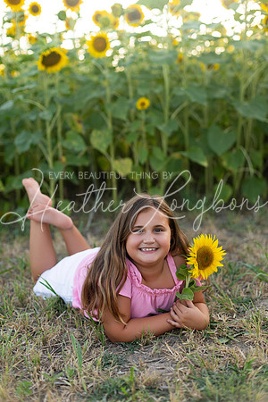 Sunflowers Harrison Family-24