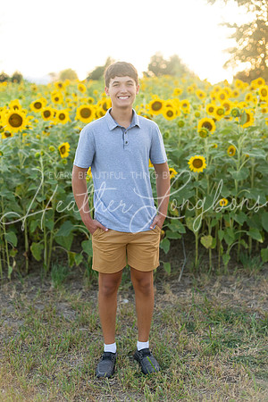 Sunflowers Harrison Family-25
