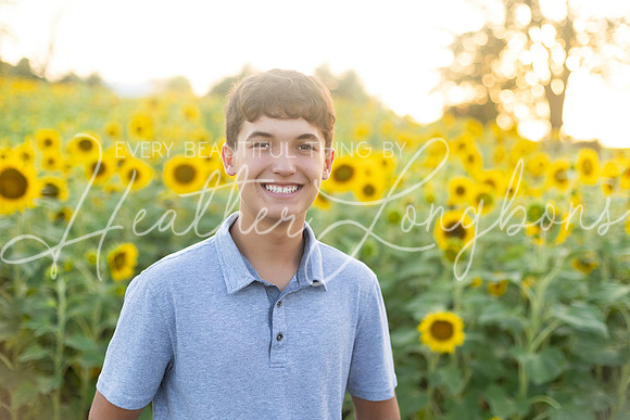 Sunflowers Harrison Family-27