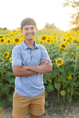 Sunflowers Harrison Family-29