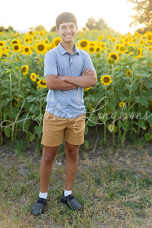 Sunflowers Harrison Family-28