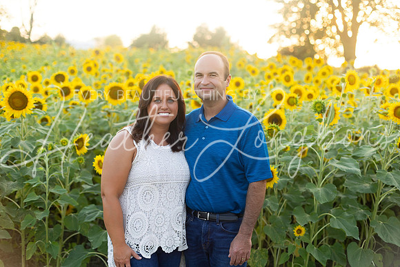 Sunflowers Harrison Family-32
