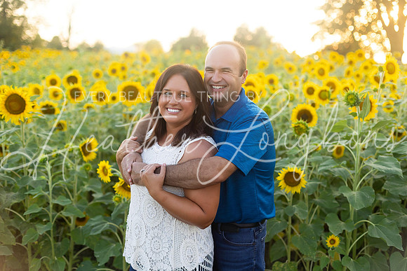 Sunflowers Harrison Family-37