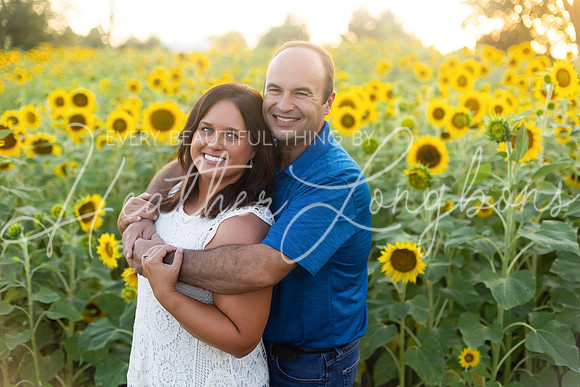 Sunflowers Harrison Family-35