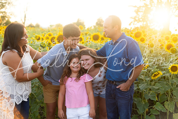 Sunflowers Harrison Family-39