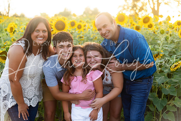 Sunflowers Harrison Family-40