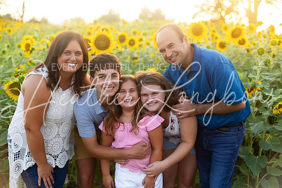 Sunflowers Harrison Family-41
