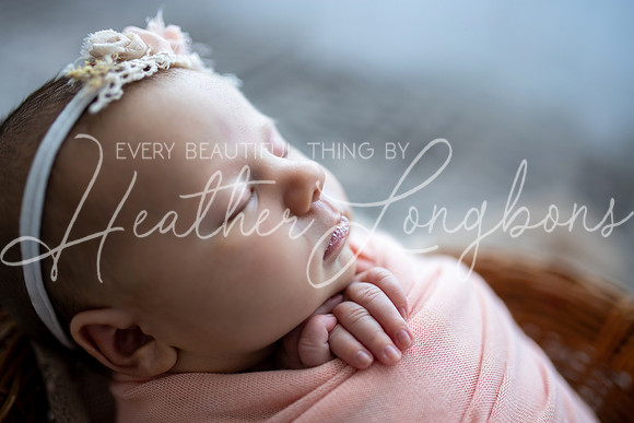 Albion, Illinois Children Family Newborn Photographer Senior Photography Studio Southern Illinois Evansville, Indiana Olney, Illinois Fairfield, Illinois Mt. Carmel, Illinois-71