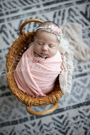 Albion, Illinois Children Family Newborn Photographer Senior Photography Studio Southern Illinois Evansville, Indiana Olney, Illinois Fairfield, Illinois Mt. Carmel, Illinois-69