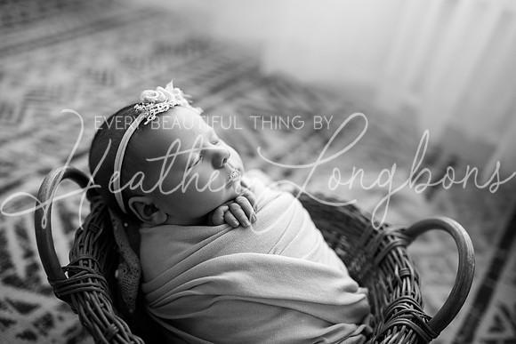 Albion, Illinois Children Family Newborn Photographer Senior Photography Studio Southern Illinois Evansville, Indiana Olney, Illinois Fairfield, Illinois Mt. Carmel, Illinois-70