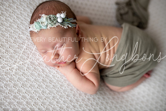 Albion, Illinois Children Family Newborn Photographer Senior Photography Studio Southern Illinois Evansville, Indiana Olney, Illinois Fairfield, Illinois Mt. Carmel, Illinois-75